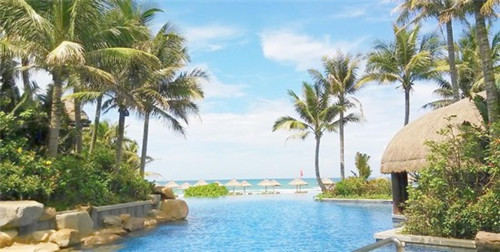 鱼头大大鱼头泡饭