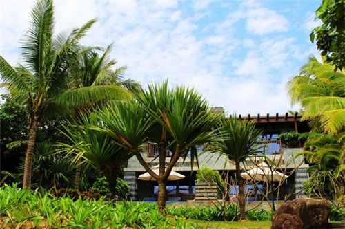 小鱼堂新派纸包鱼