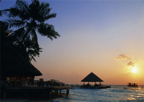 钱宝儿和风便当