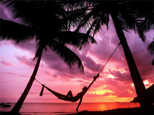 如何获取乐品吉鸡排加盟电话