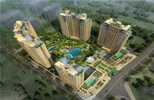 洋白菜炒瘦肉的做法大全（洋白菜抄肉的做法）