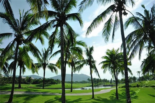 男孩取名潘锦什么寓意（潘锦汐名字寓意）