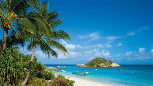 60扳本dnf魔法师转什么职业好（dnf60版本魔法师哪个职业好）