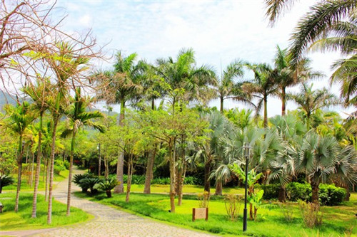 千岁鹤归一般指什么（千岁鹤归典故）